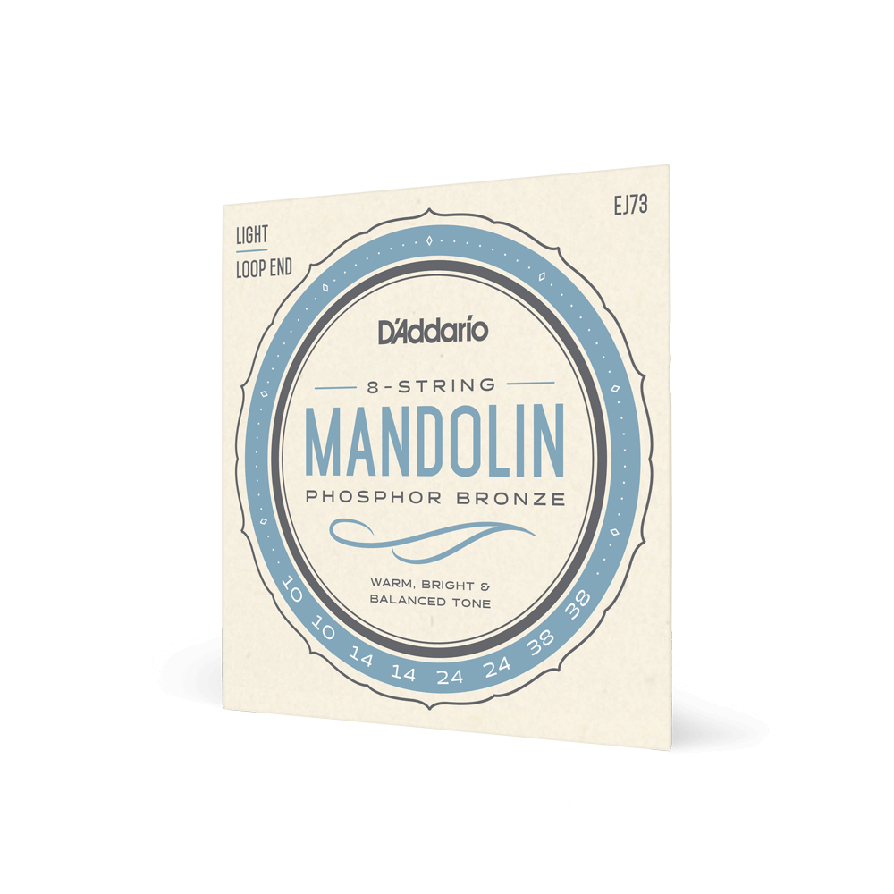 D'Addario Mandolin Strings 10-38 EJ73